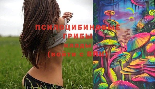 стафф Белокуриха