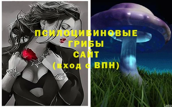 стафф Белокуриха