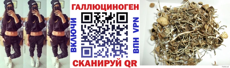 Галлюциногенные грибы Psilocybe  хочу   Гулькевичи 